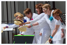 2013 Muziektuin Fotograaf (43).jpg